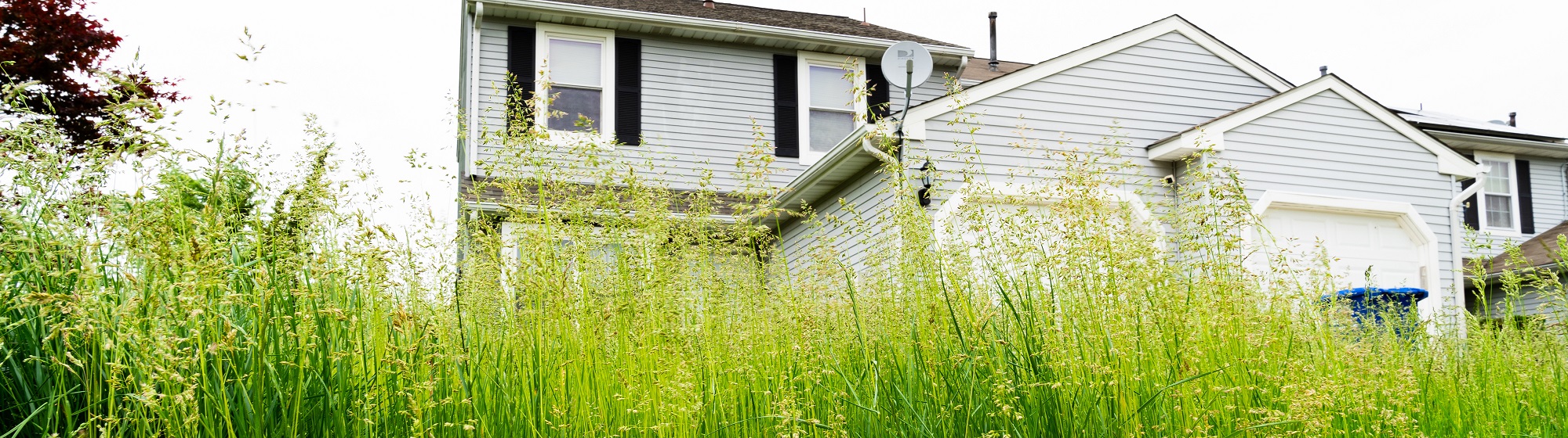 A home with an overgrown lawn